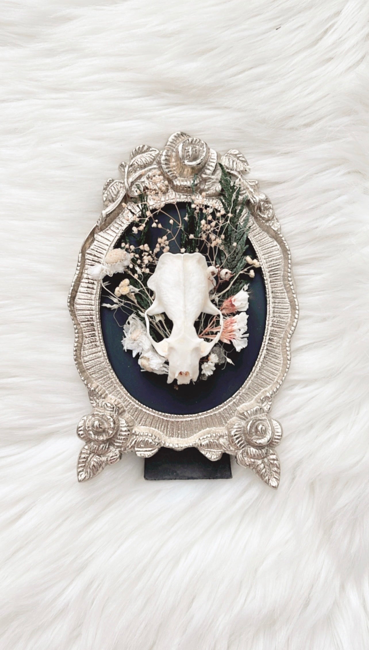 Otillie Oddities Frame <Mink Skull>