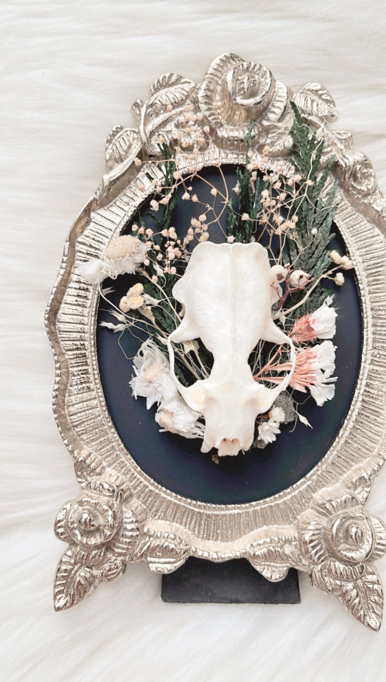 Otillie Oddities Frame <Mink Skull>