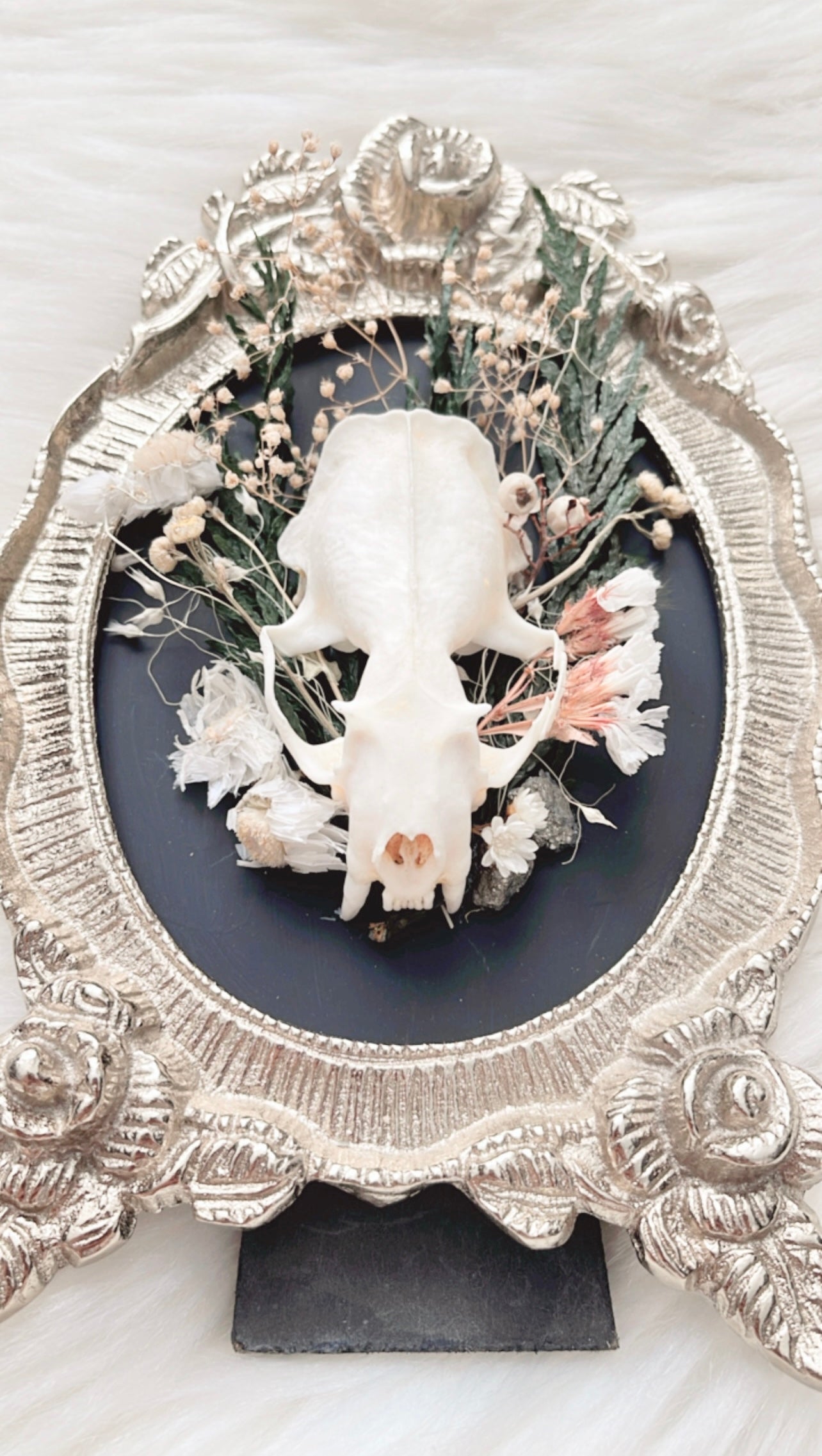 Otillie Oddities Frame <Mink Skull>