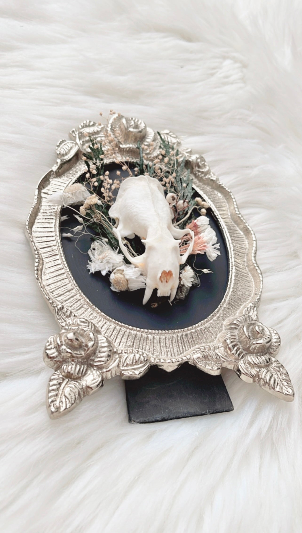 Otillie Oddities Frame <Mink Skull>