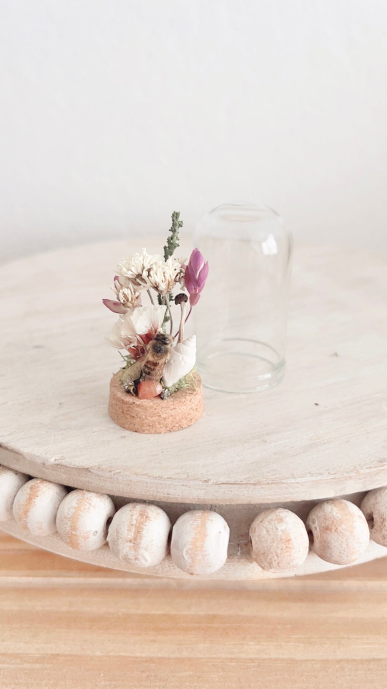 Pearl Mini Terrarium