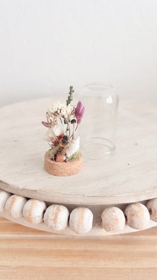 Pearl Mini Terrarium