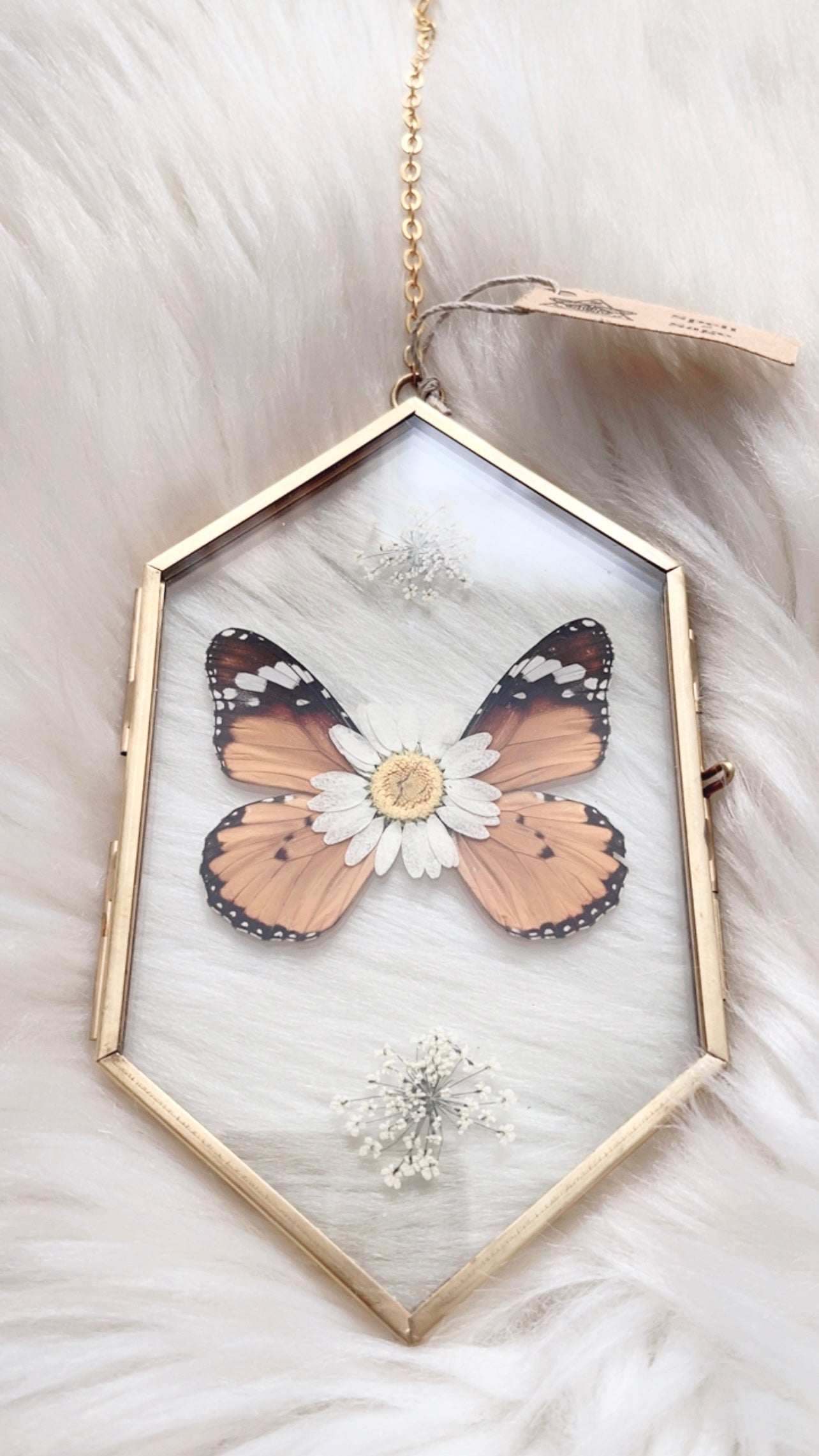 Penny Butterfly Floral Frame <3.5x6in>