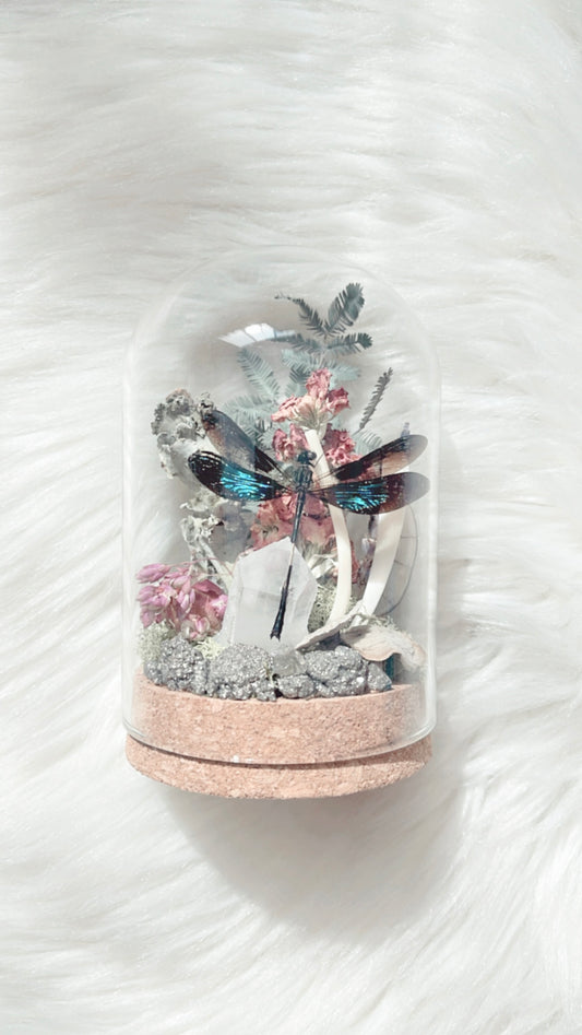 Phoebe Terrarium