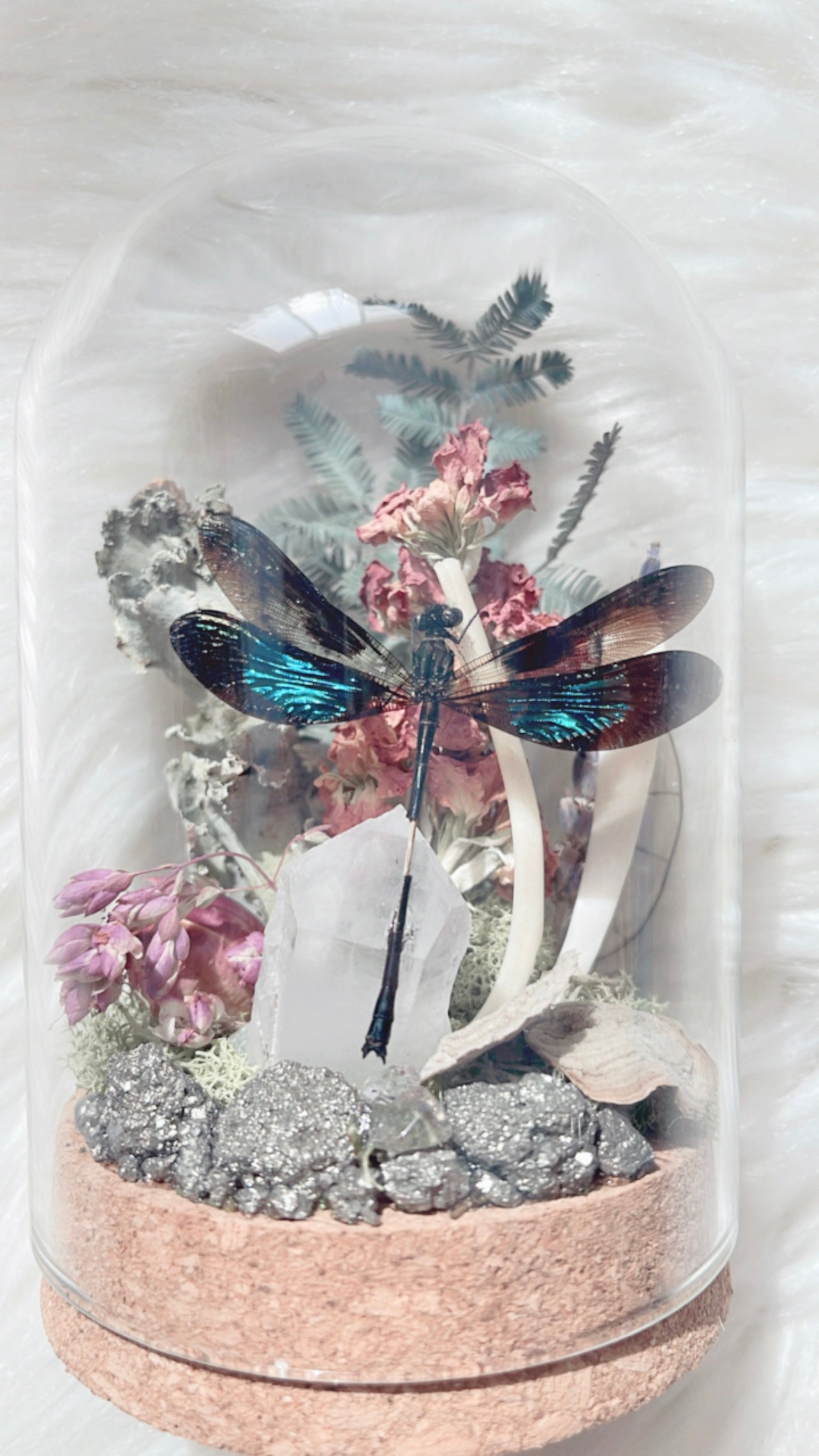 Phoebe Terrarium
