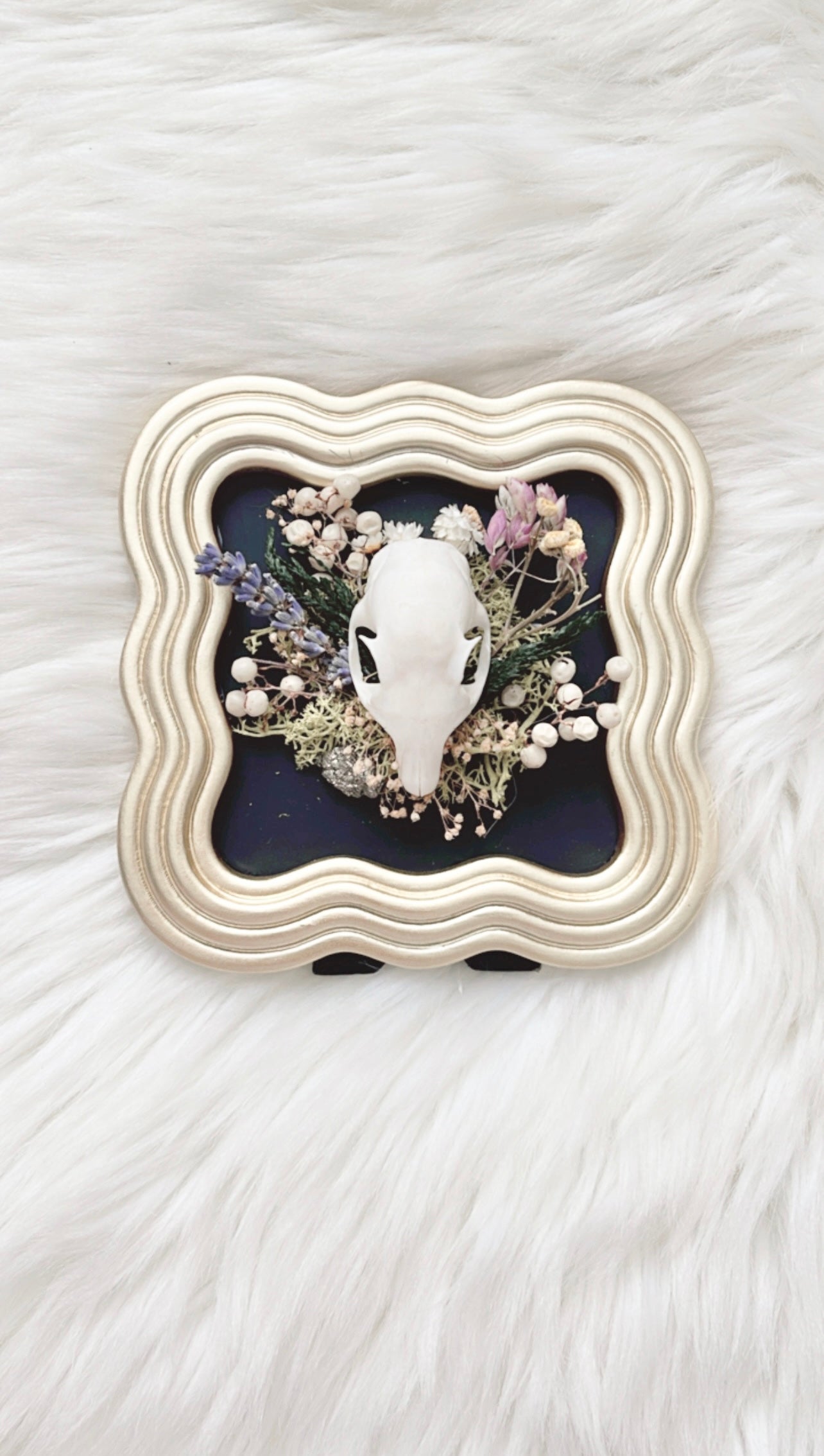 Pippin Oddities Frame <Squirrel Skull>