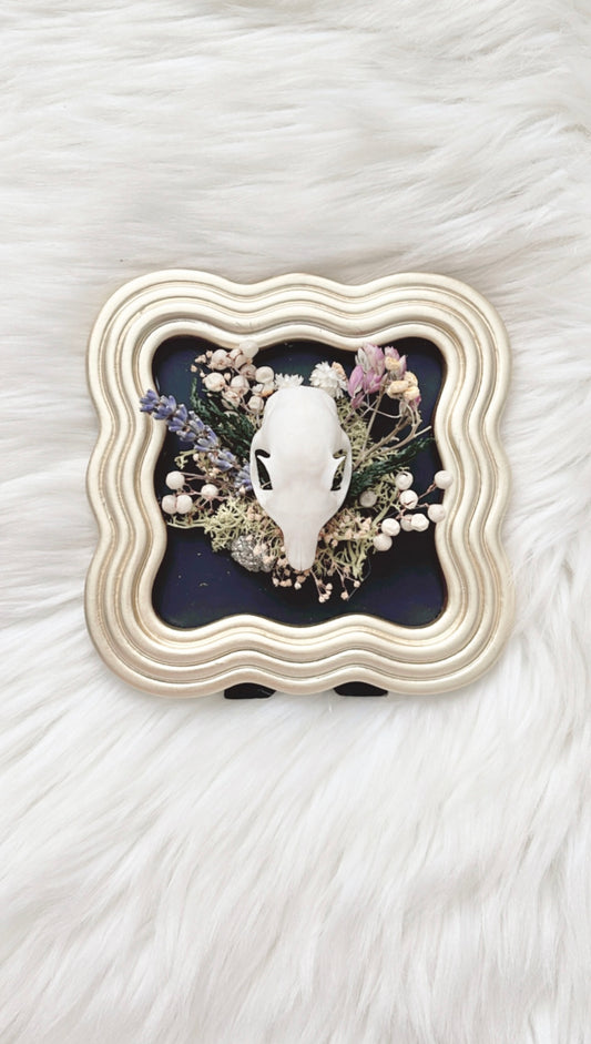 Pippin Oddities Frame <Squirrel Skull>