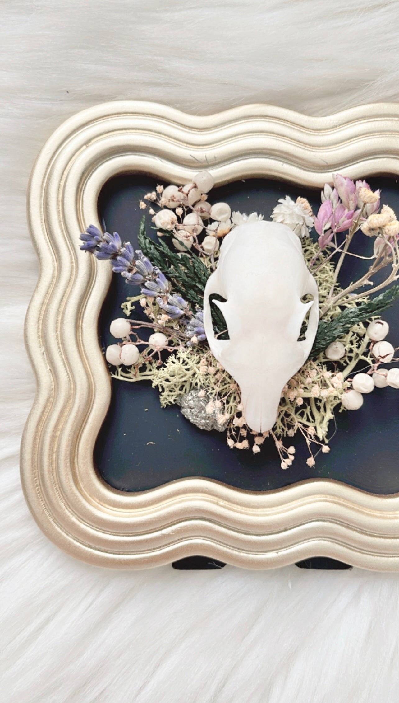 Pippin Oddities Frame <Squirrel Skull>