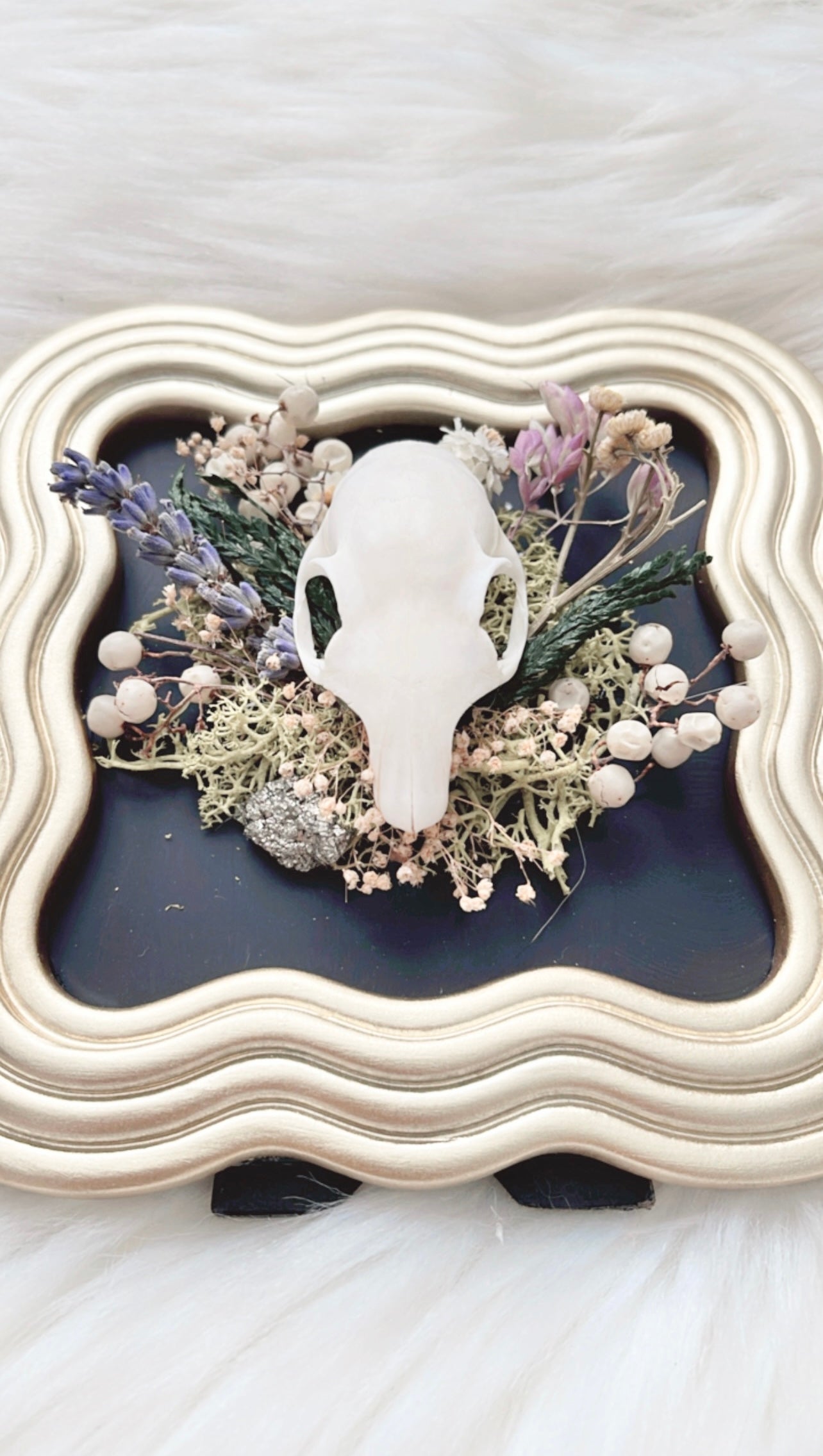 Pippin Oddities Frame <Squirrel Skull>