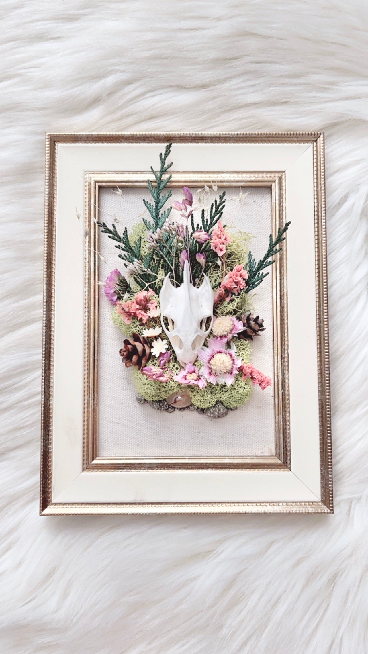 Pixie Oddities Frame <Turtle Skull>