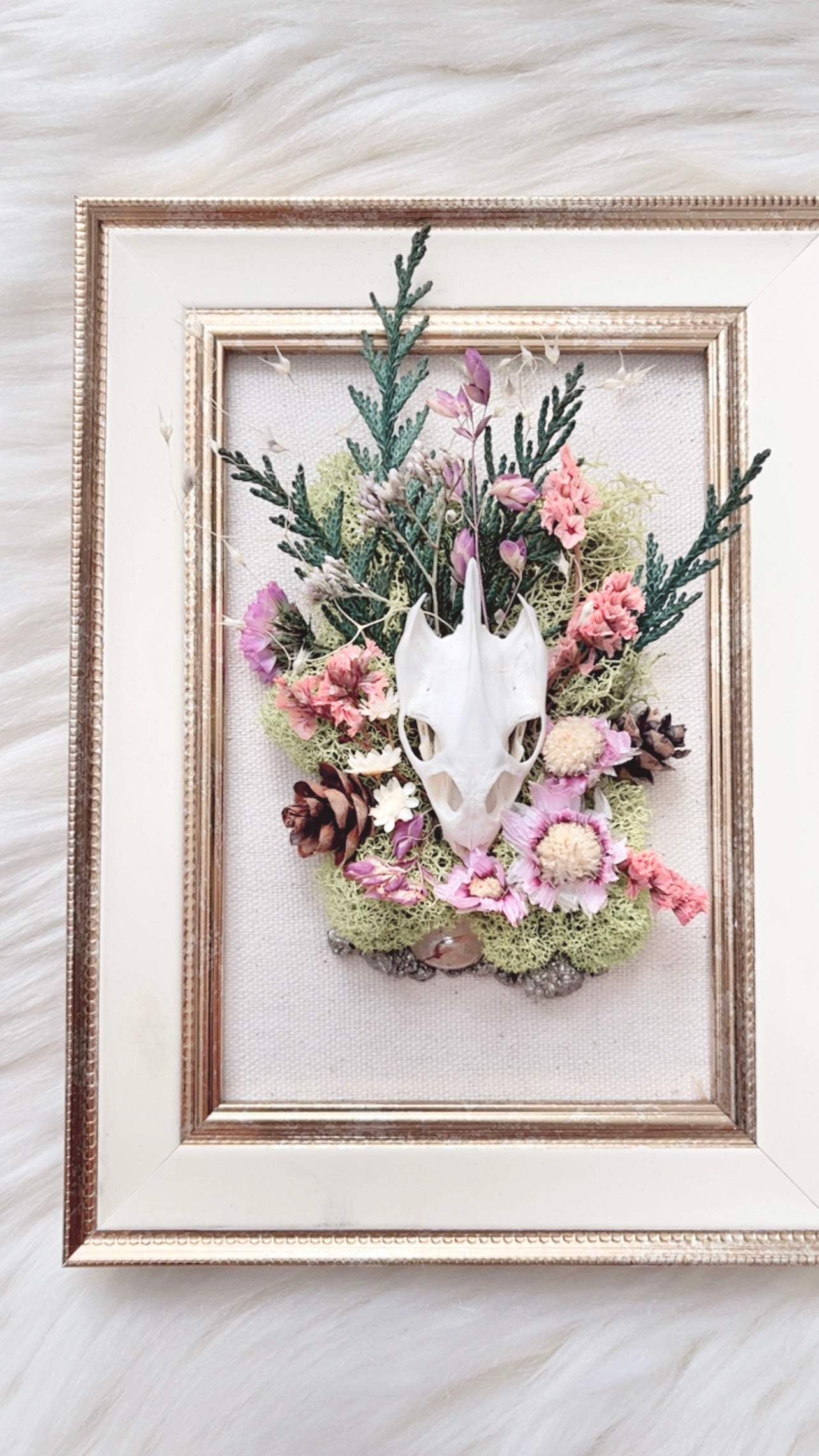 Pixie Oddities Frame <Turtle Skull>