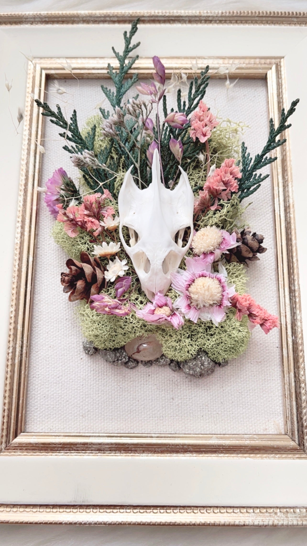 Pixie Oddities Frame <Turtle Skull>