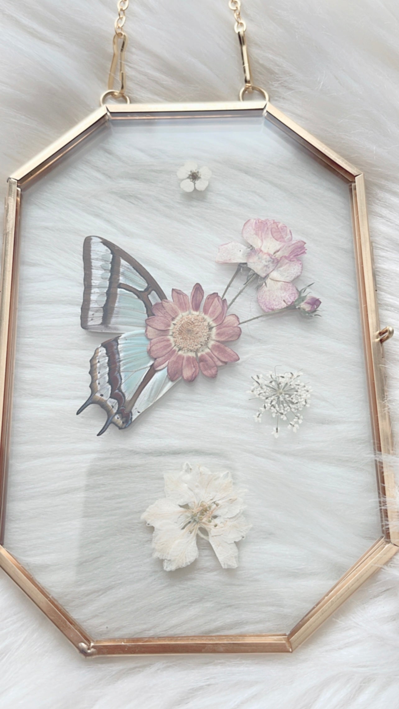 Poppy Butterfly Floral Frame