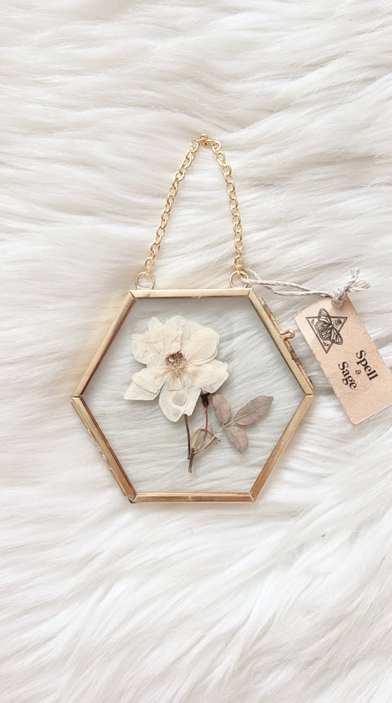 Poppy Floral Frame <3.5x3.25in>