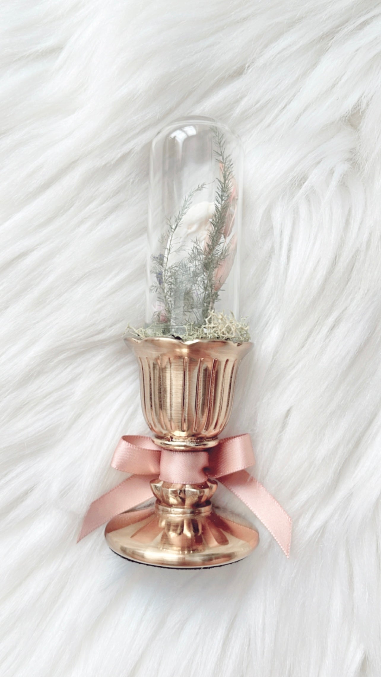 Poppy Terrarium