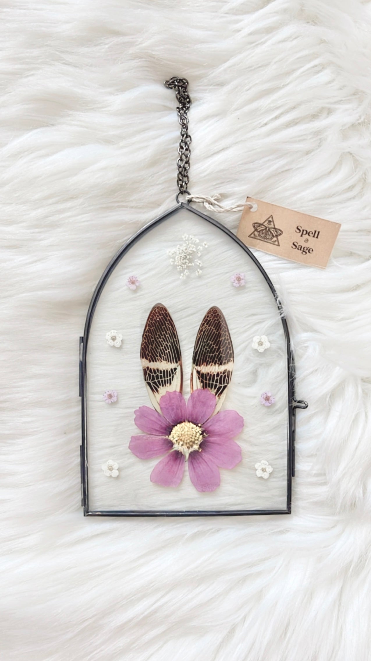 Primrose Cicada Floral Frame <4x6in>