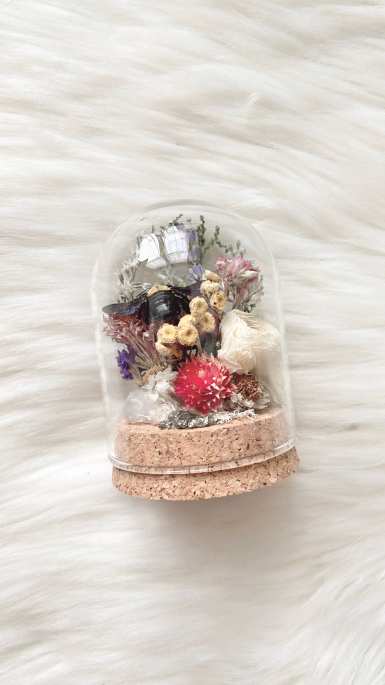 Prudence Terrarium