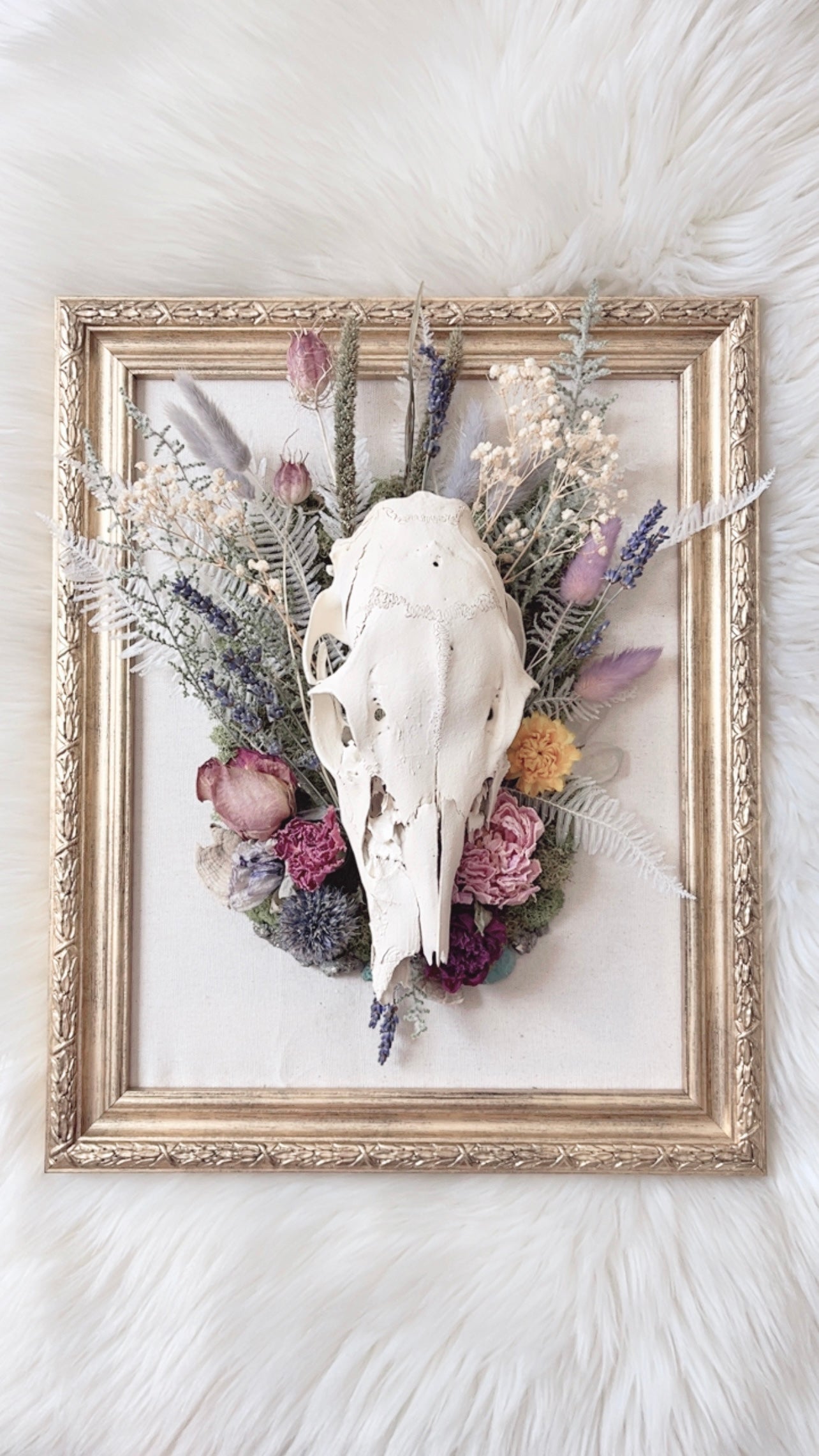 Quinn Oddities Frame <Deer Skull>