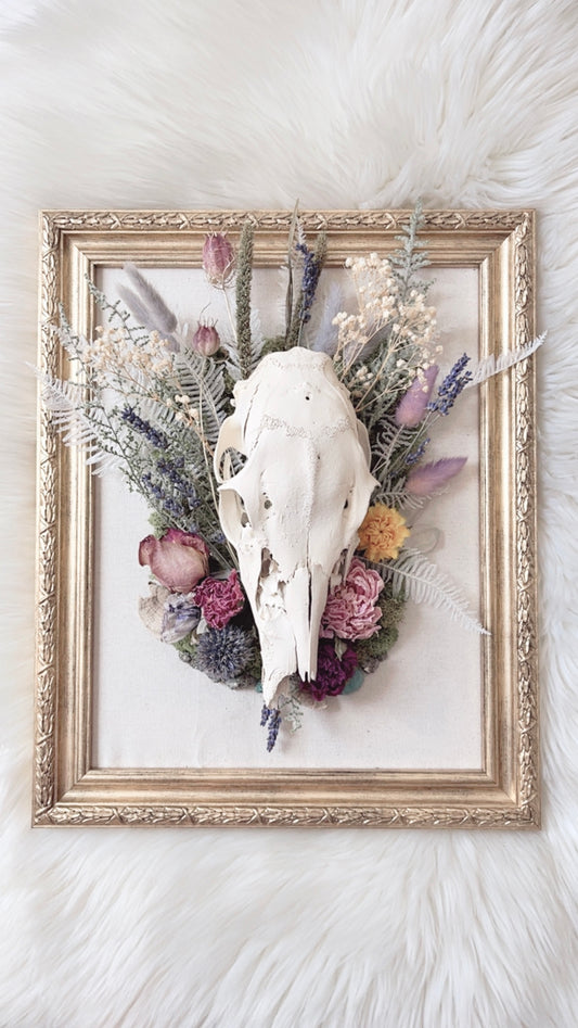 Quinn Oddities Frame <Deer Skull>