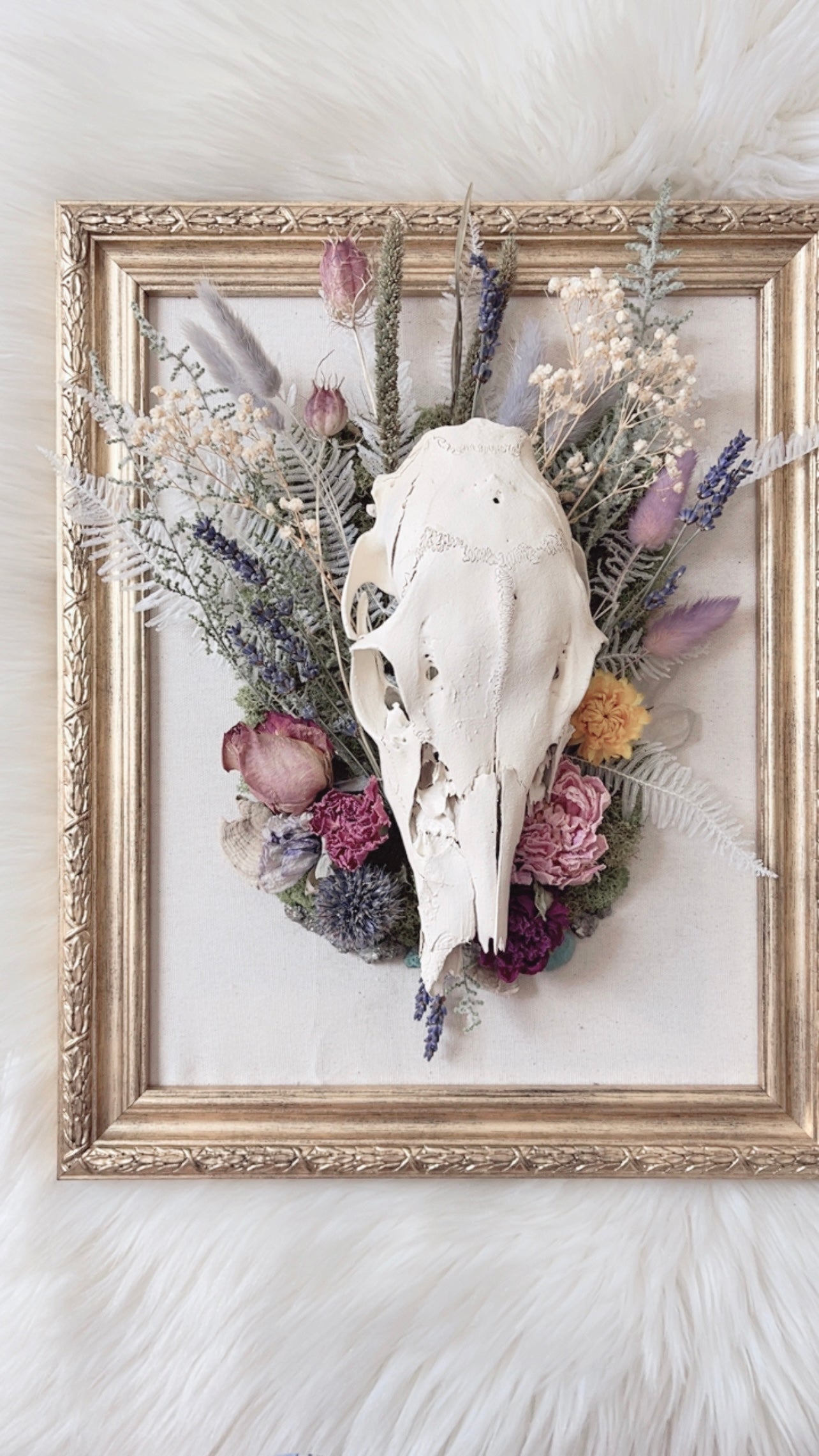Quinn Oddities Frame <Deer Skull>