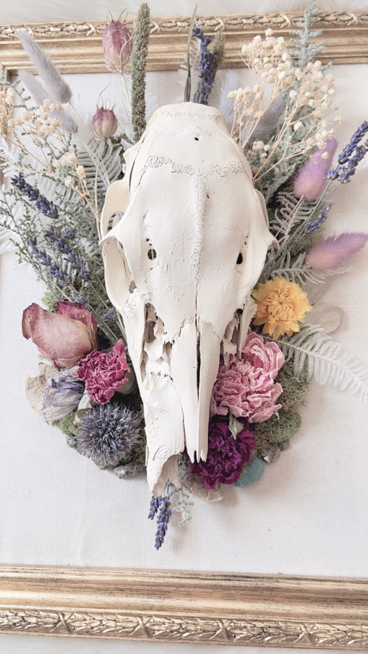 Quinn Oddities Frame <Deer Skull>