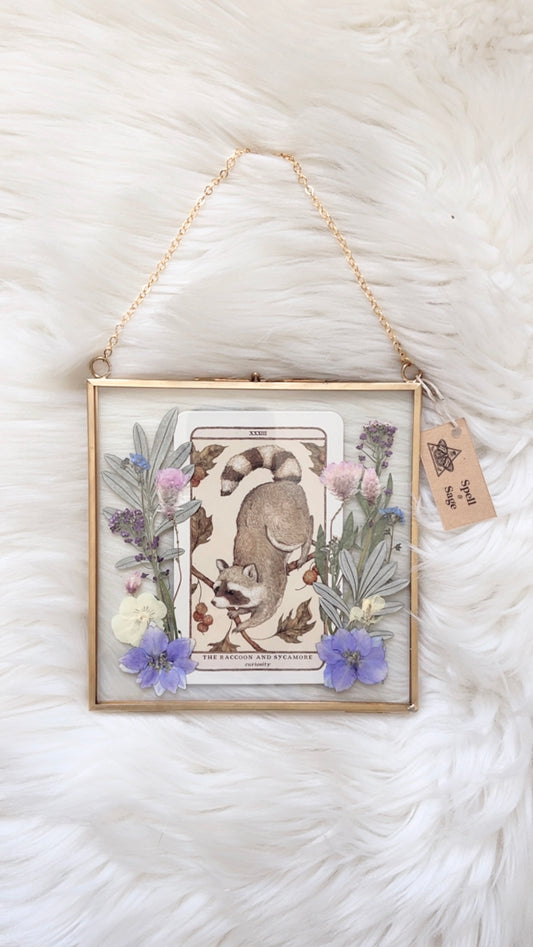 The Raccoon and Sycamore Oracle Floral Frame