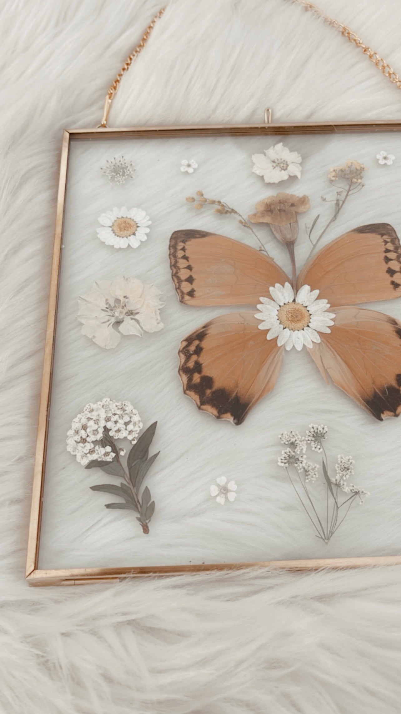 Ramona Butterfly Floral Frame