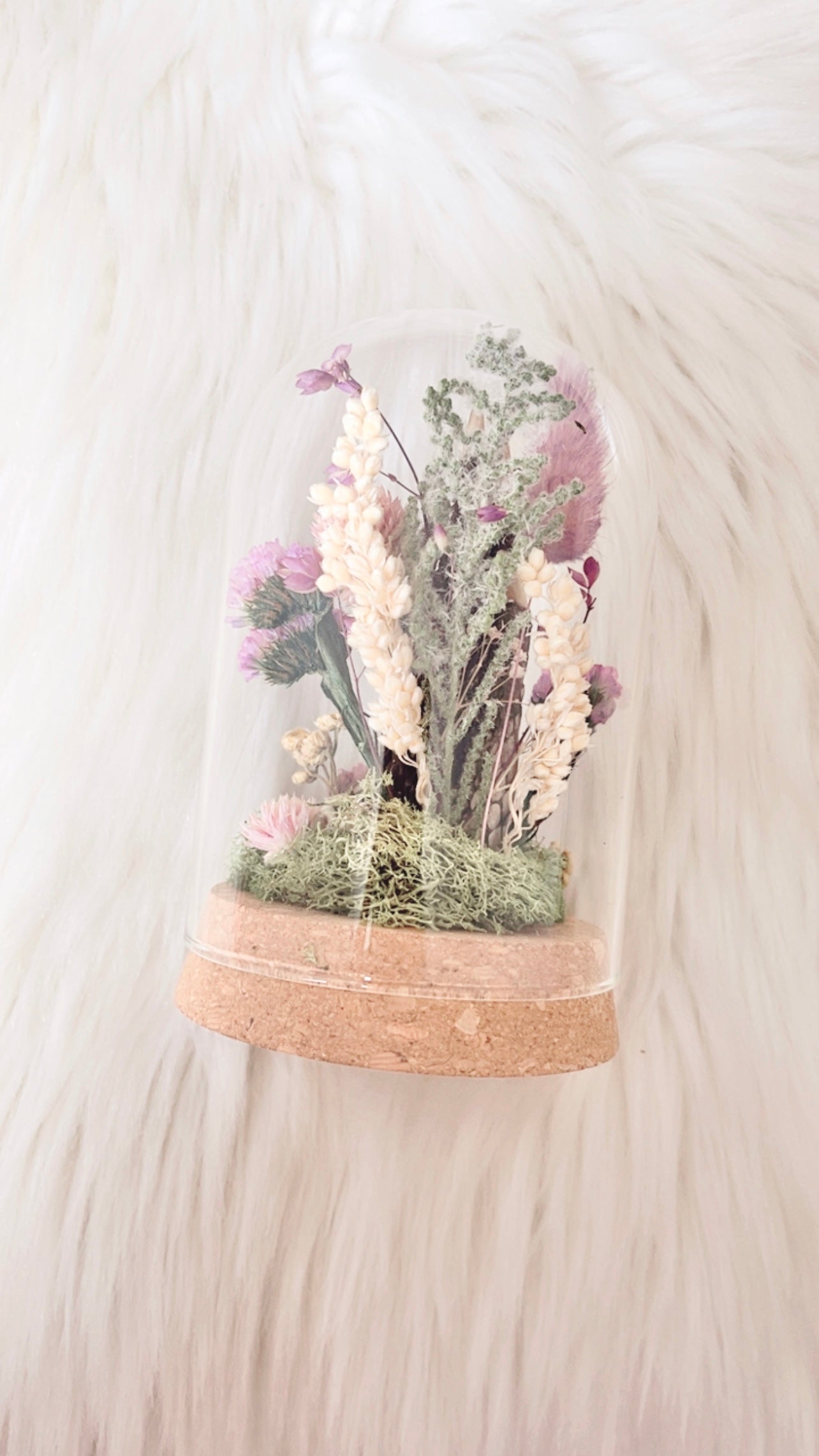 Raven Terrarium