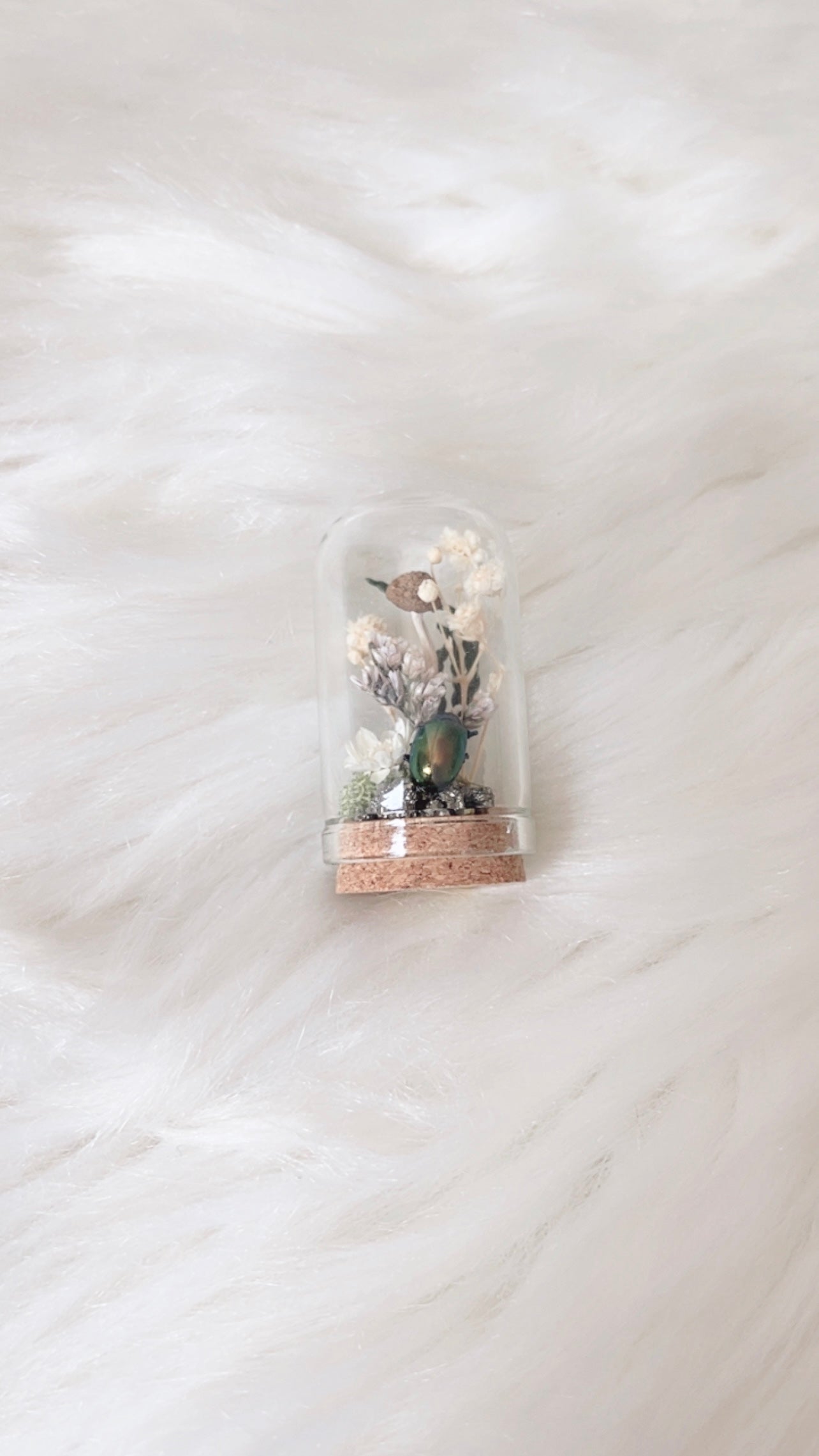 Reese Mini Terrarium