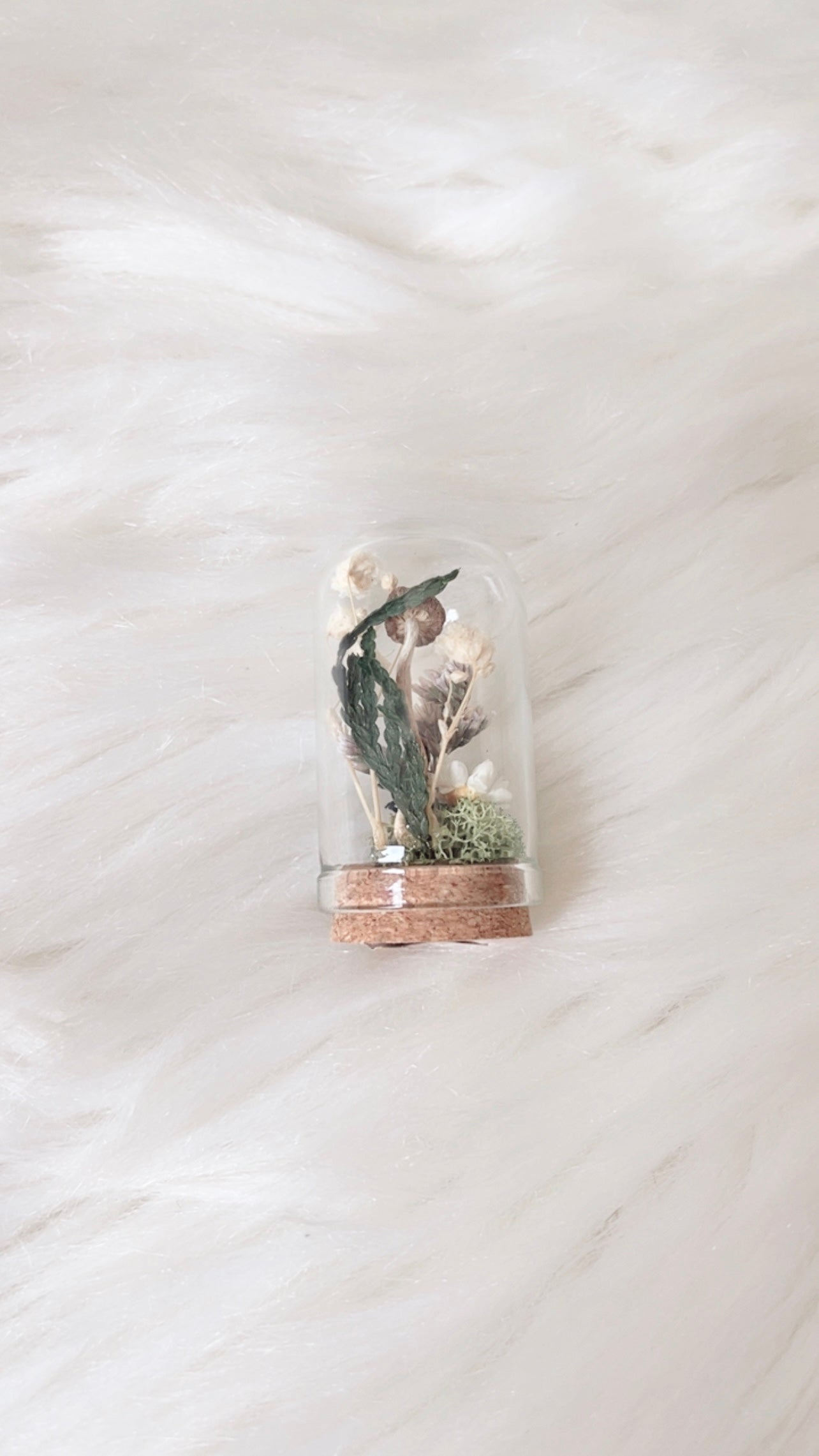 Reese Mini Terrarium