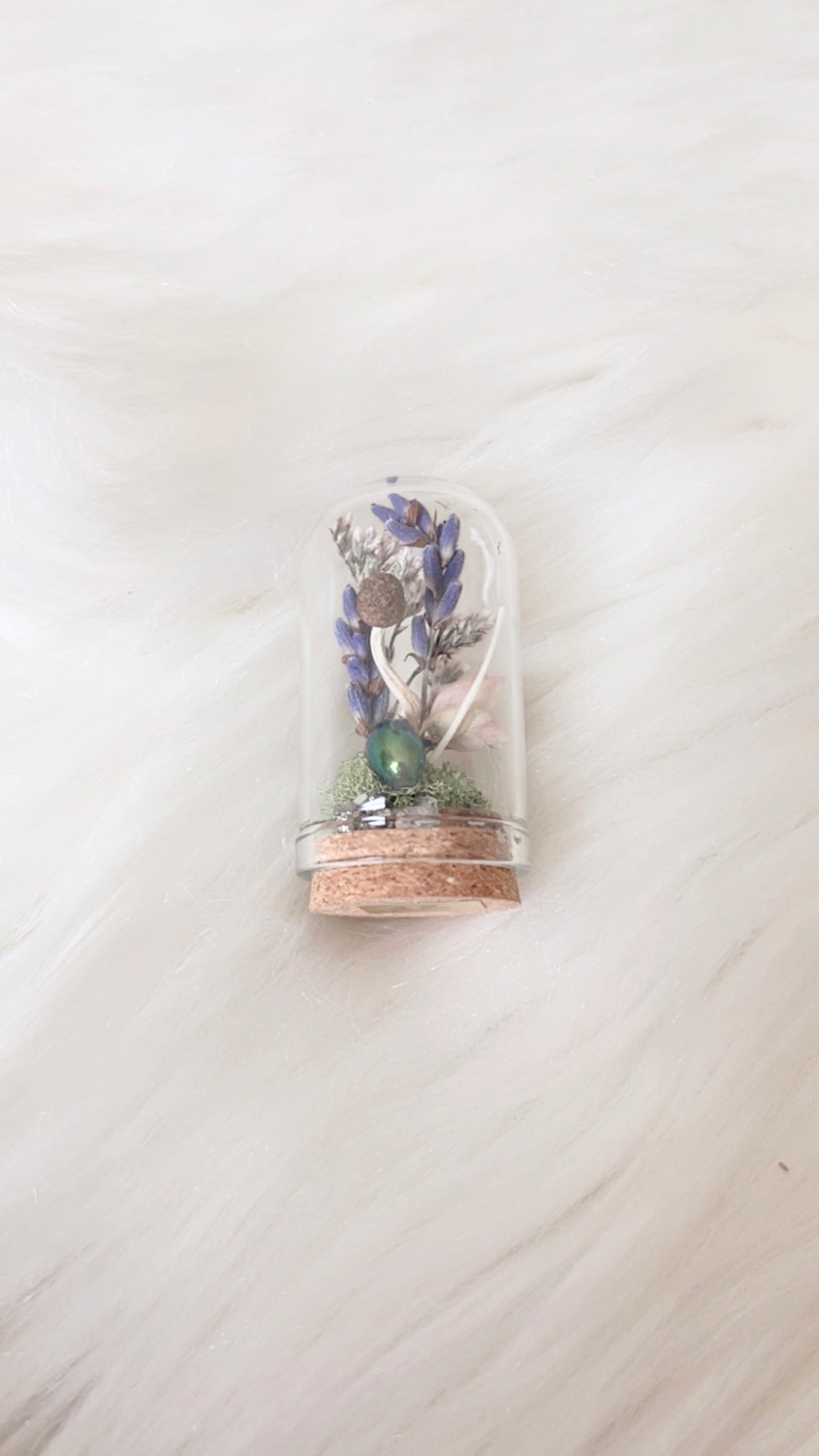 Remi Mini Terrarium