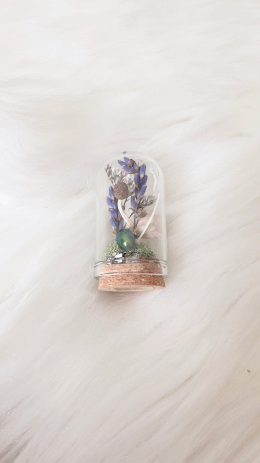 Remi Mini Terrarium