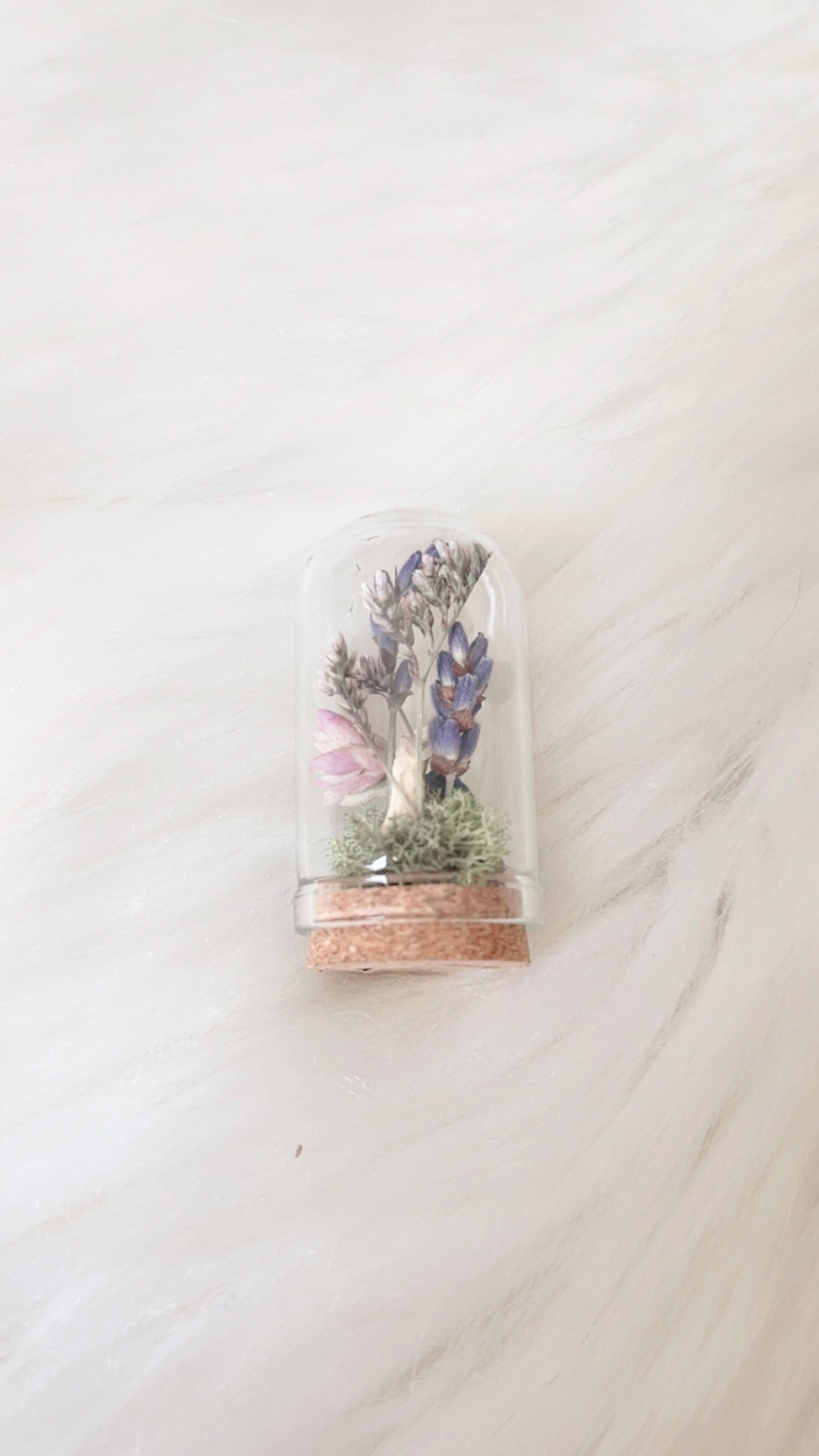 Remi Mini Terrarium