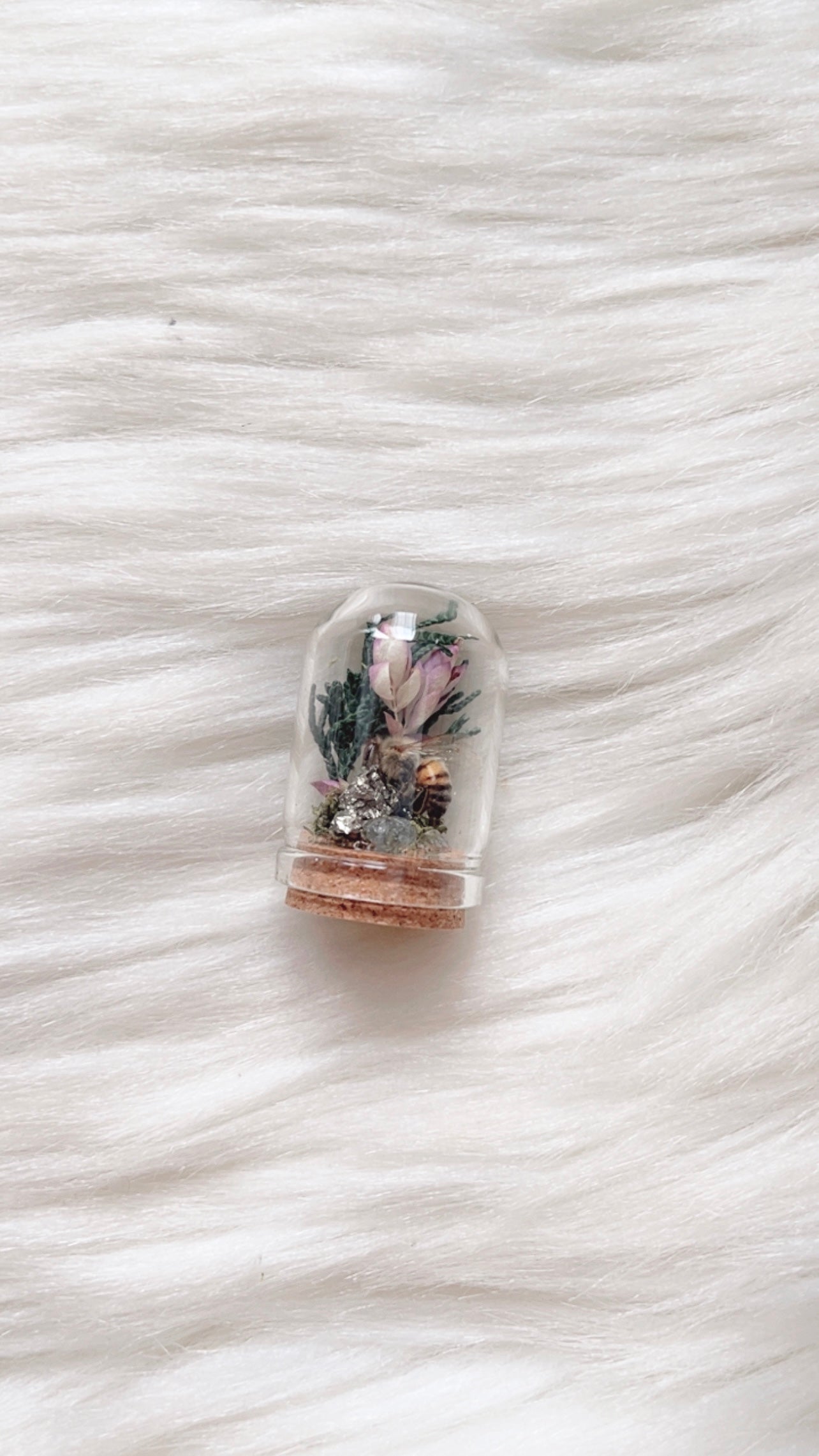 Ren Terrarium