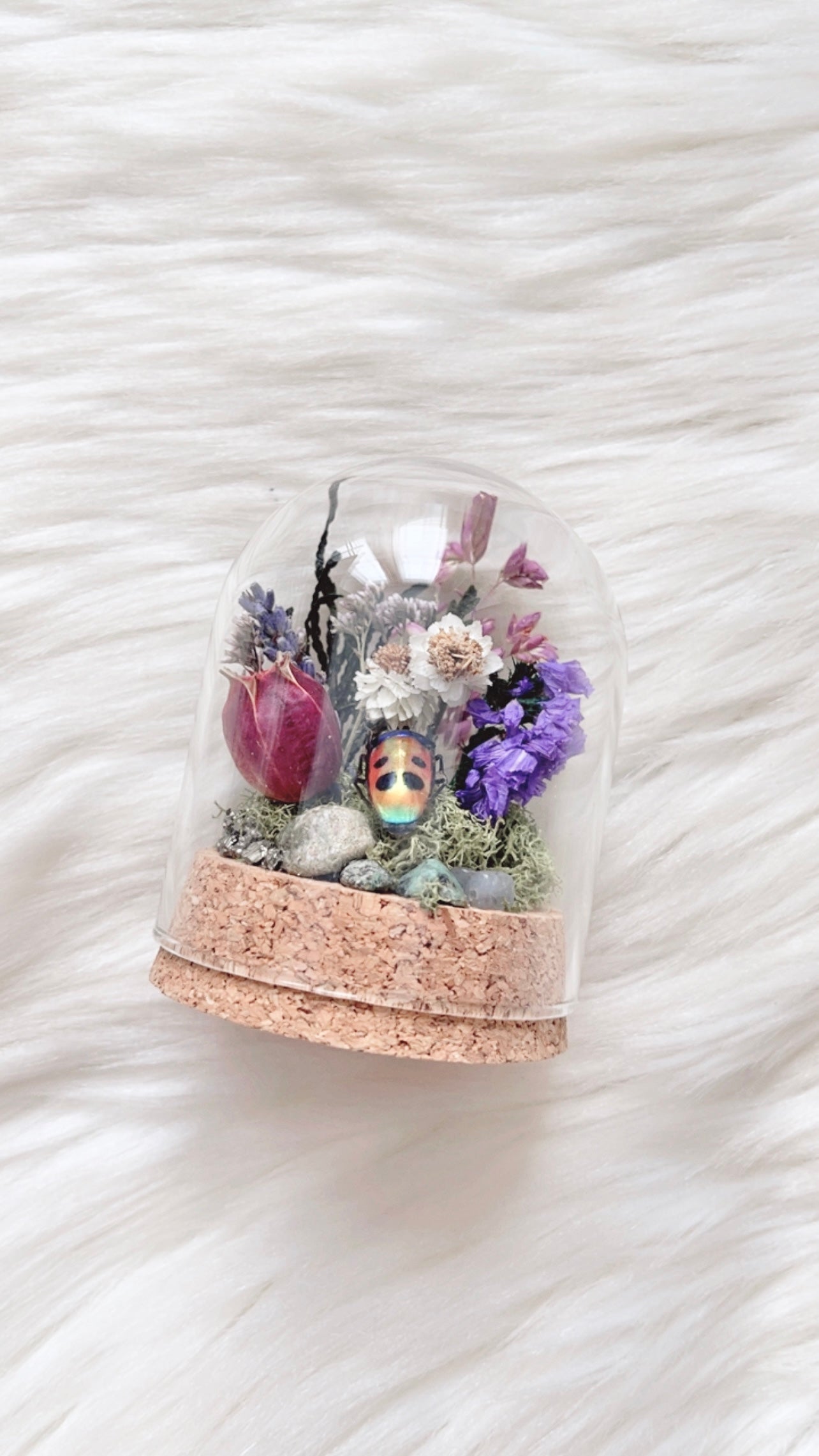 Riri Terrarium