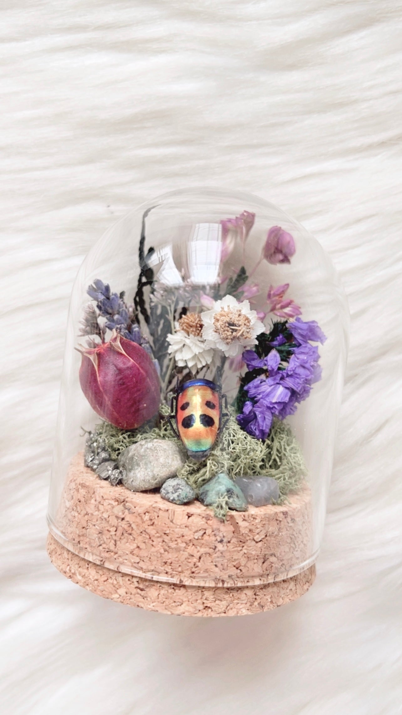Riri Terrarium