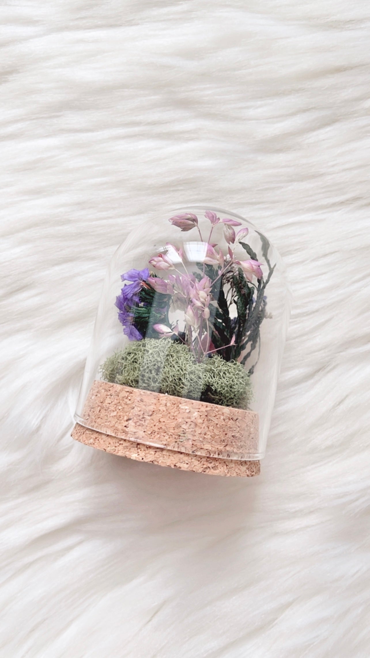 Riri Terrarium