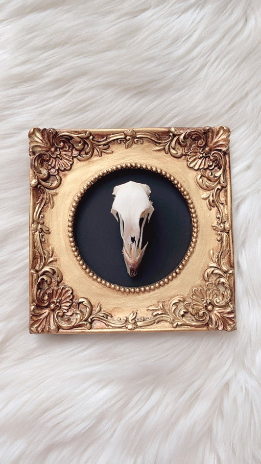 River Oddities Frame <Grouse Skull>