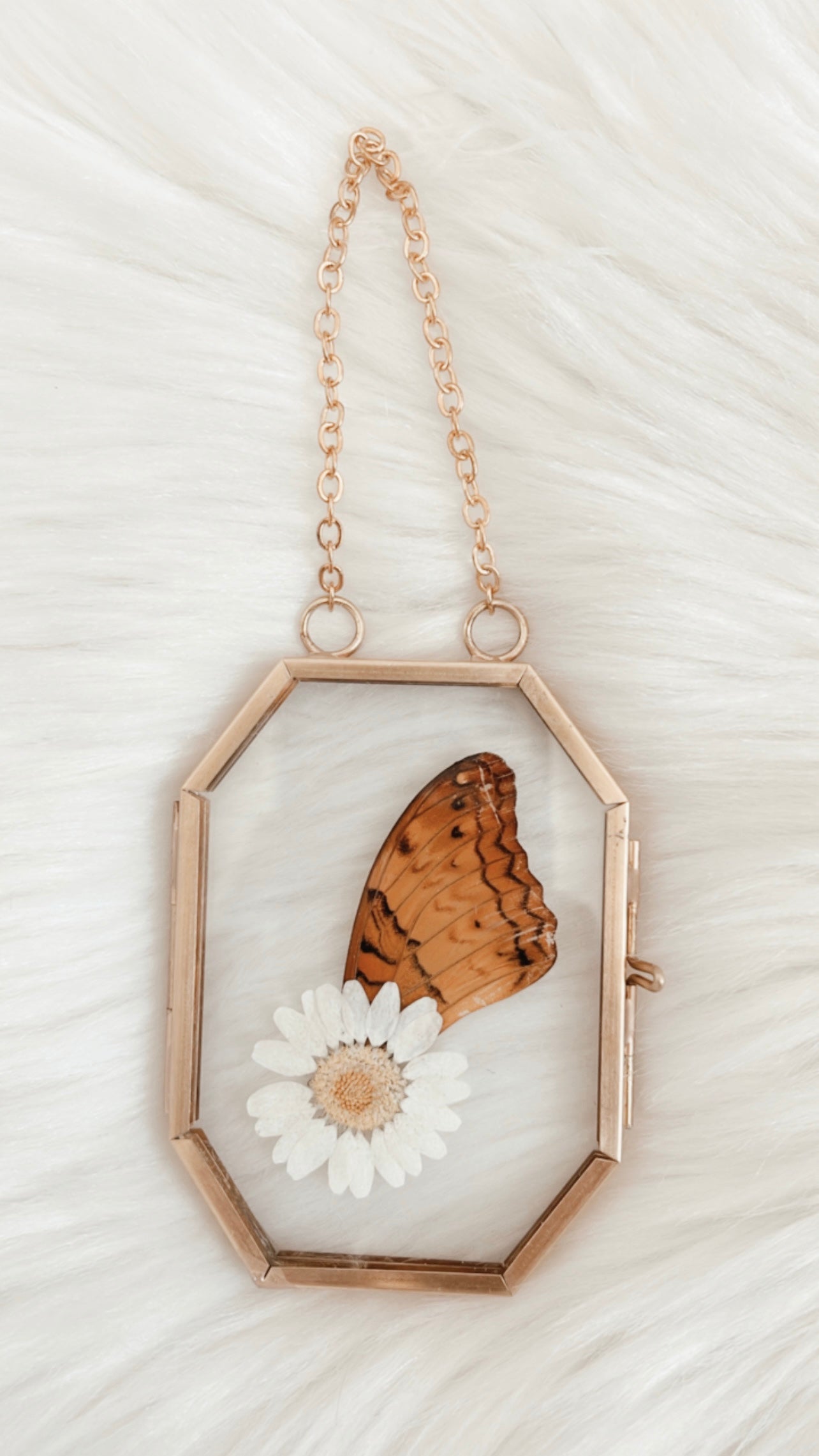 Rosalie Butterfly Floral Frame
