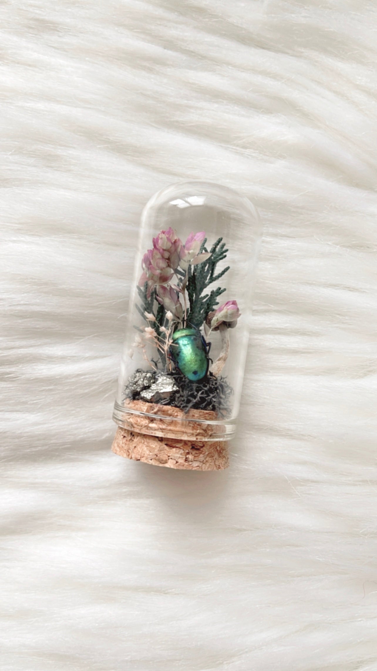 Rosanna Terrarium
