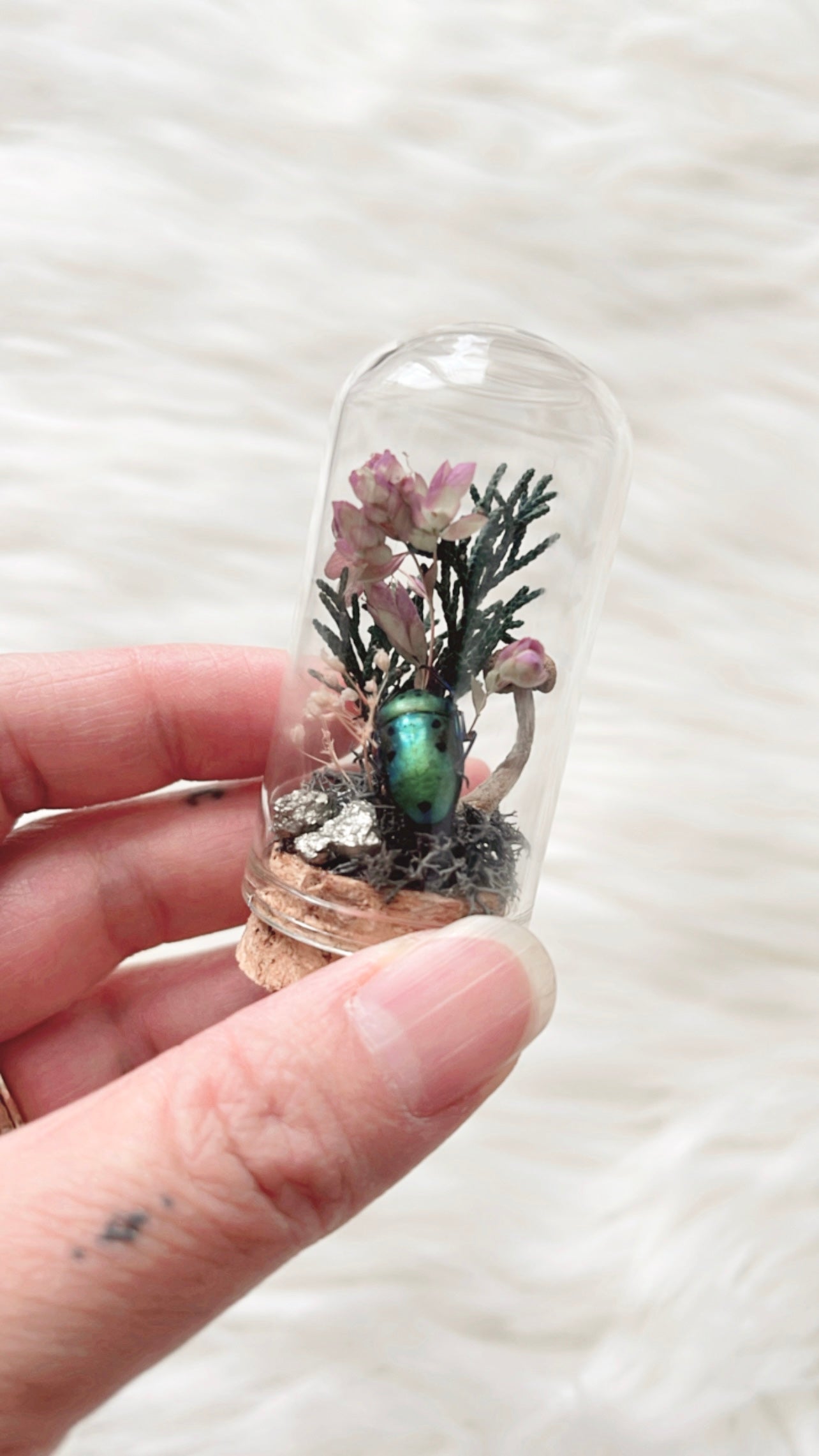 Rosanna Terrarium
