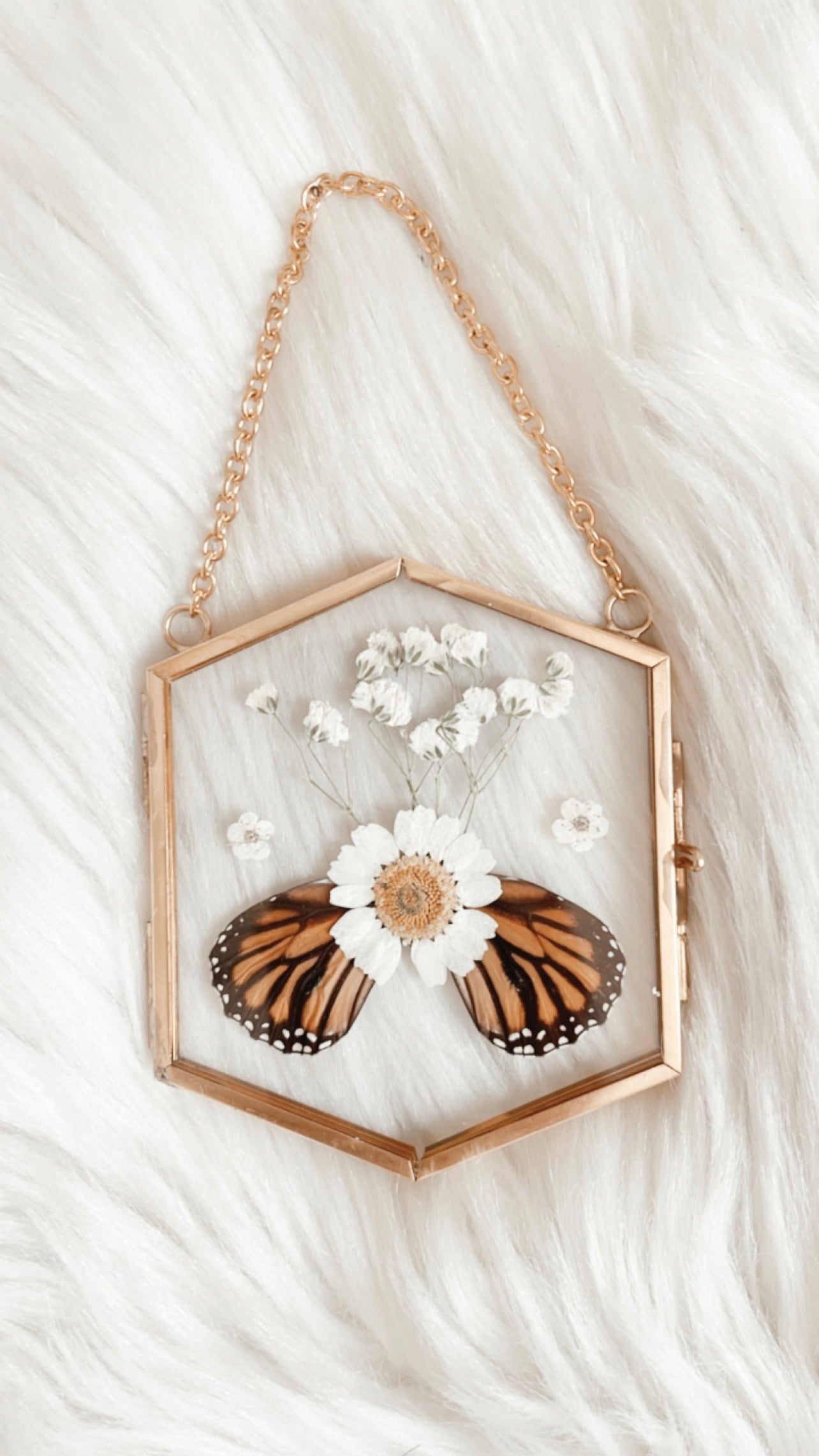 Roselle Butterfly Floral Frame