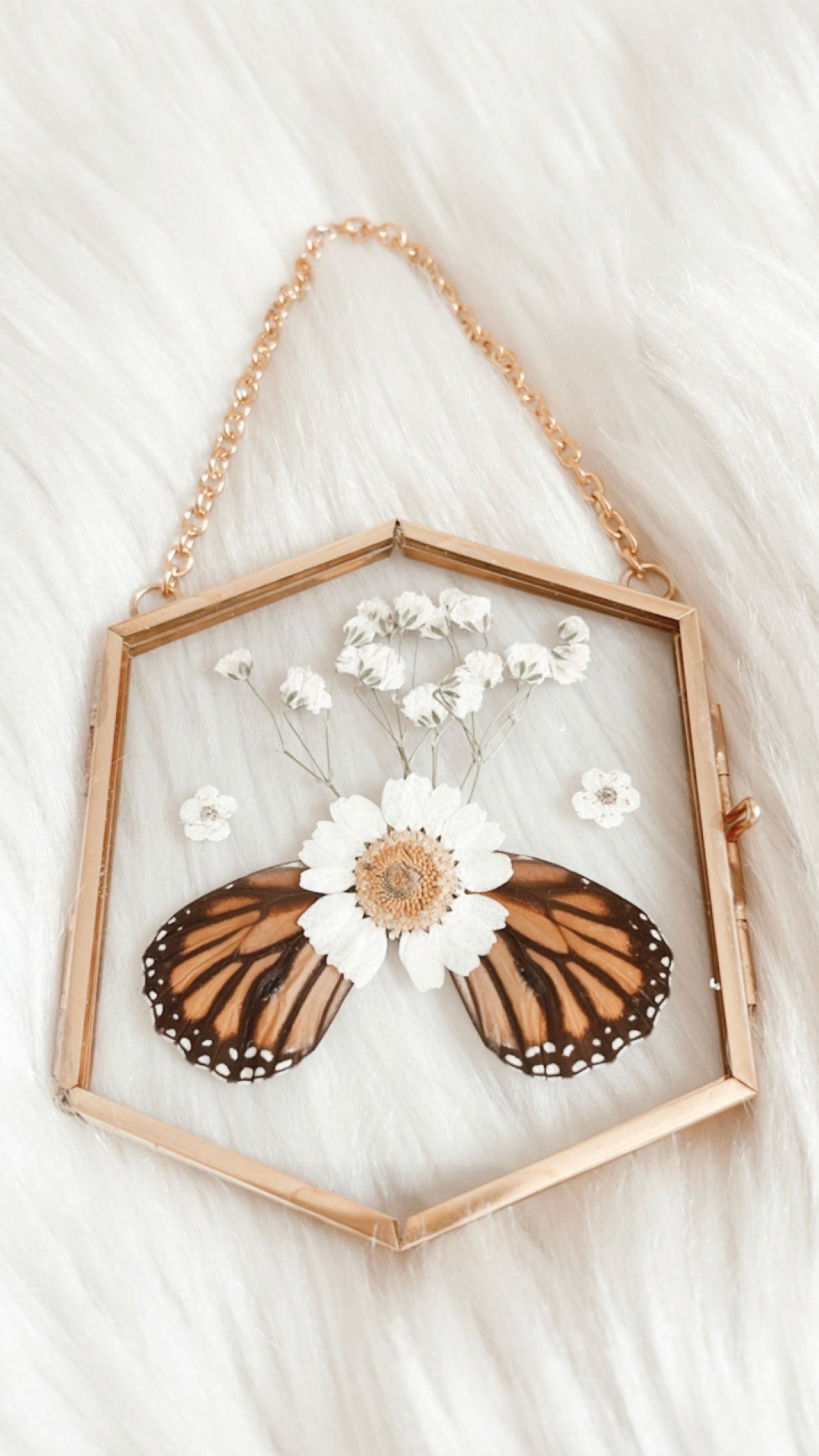 Roselle Butterfly Floral Frame