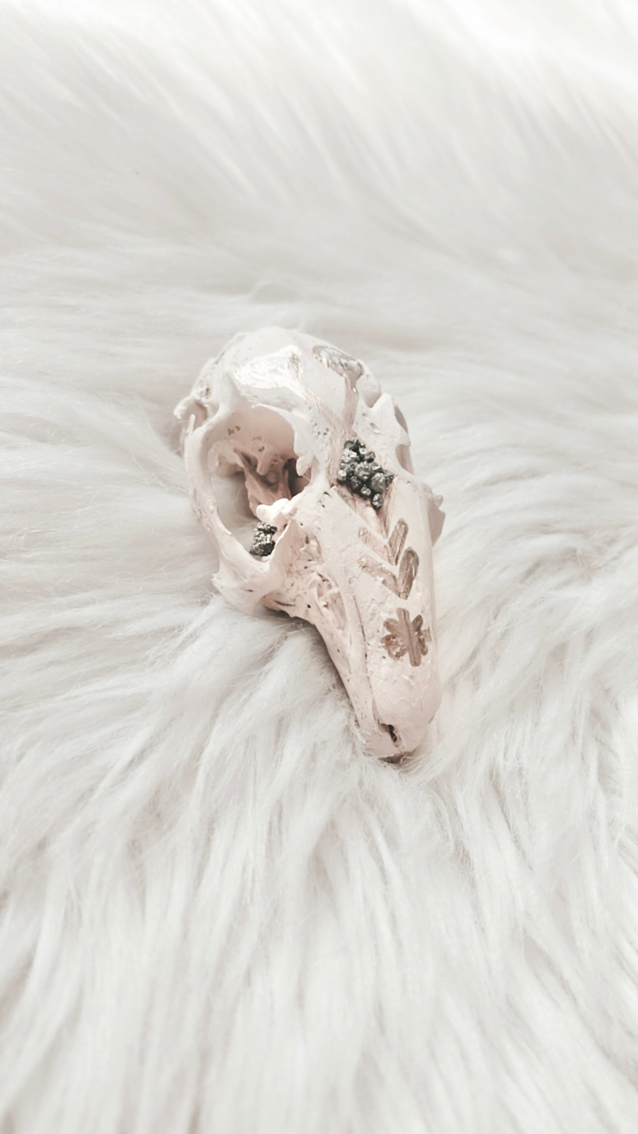 Rose Rabbit Skull