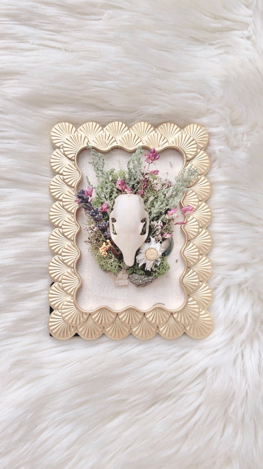 Rosie Oddities Frame <Squirrel Skull>