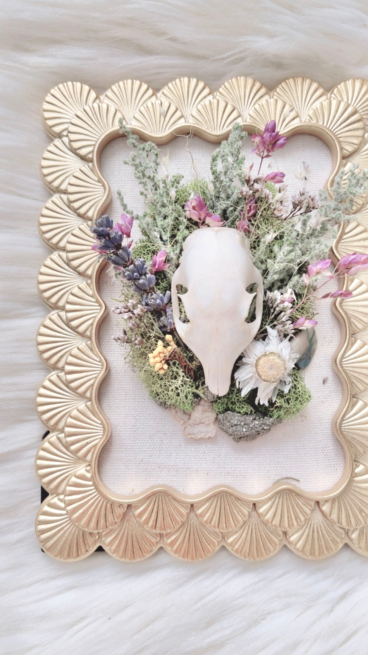 Rosie Oddities Frame <Squirrel Skull>