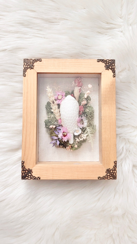Rowan Oddities Shadow Box Frame <Armadillo Skull>