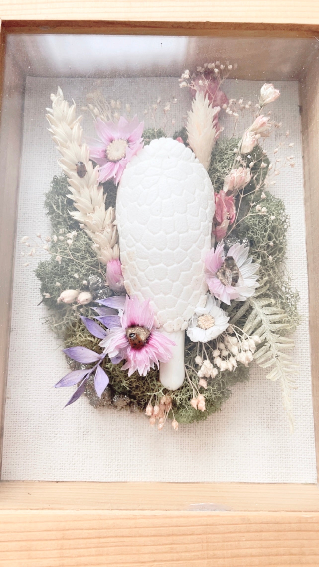 Rowan Oddities Shadow Box Frame <Armadillo Skull>