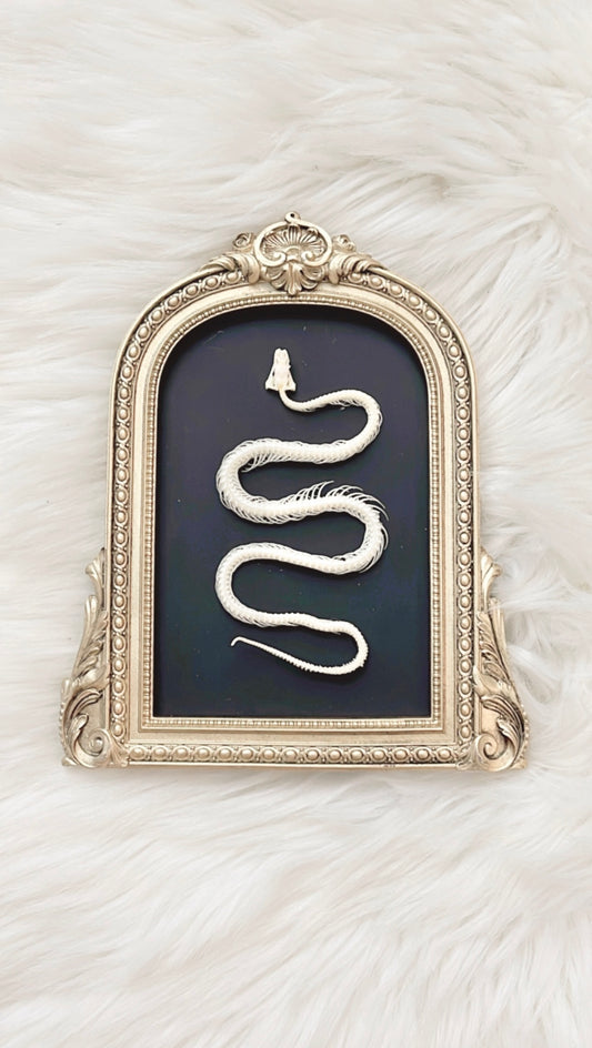 Sage Snake Skelly Frame