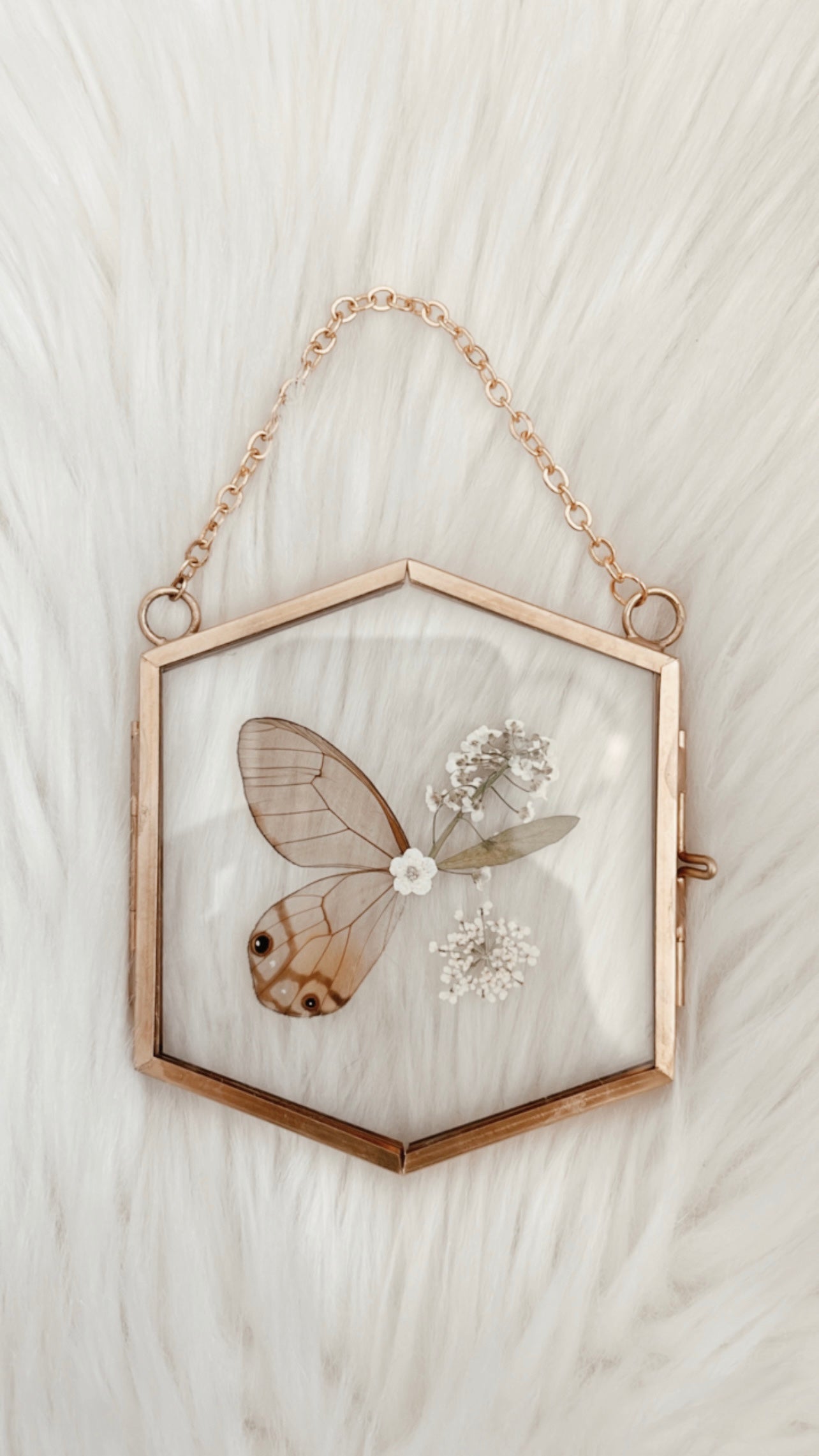 Sasha Butterfly Floral Frame